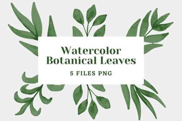 Download Botanical Watercolor Pack 23 - Premium Resources