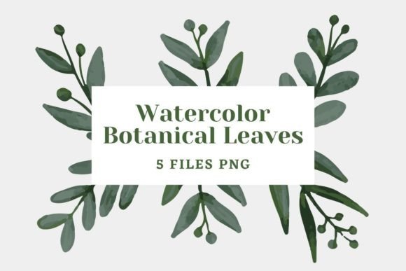 Download Botanical Watercolor Pack 22 - Premium Resources